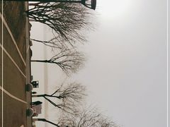 -丁香湖公园