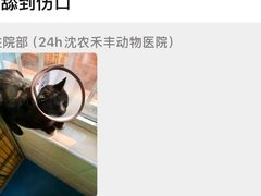 -派美特宠物医院·核磁CT·骨科肿瘤·疑难转诊(沈农禾丰店)