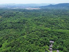 -宜兴龙背山森林公园