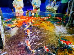 -太平洋海底世界