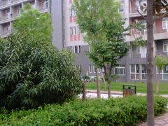 IMG_20130420_181729-河南财经政法大学(郑东校区)