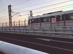 -海堤纪念公园