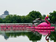 -莲花池公园