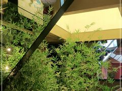-初蓉丨遇见新川菜(亲贤街荣耀店)