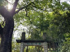 -西泠印社