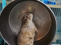 -悦河马家庭桌游剧本馆(朝阳门店)