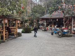 -青城甲(青城山店)