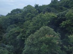 -普陀山风景区-佛顶山
