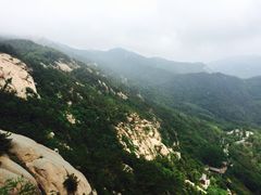 竹子庵-竹子庵公园