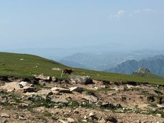 -灵山