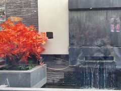 -庭院·冰煮羊·北京涮肉(西单店)