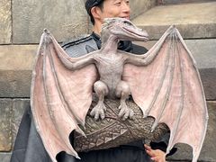 -哈利波特魔法世界