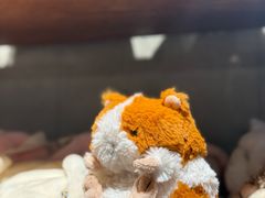 -番茄口袋(上海普陀区环球港店)