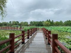 -长兴太湖图影湿地文化园