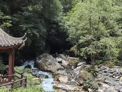 -西岭雪山大飞水景区