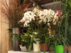 -春暖花开(西溪店)