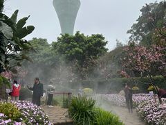 -狐尾山公园