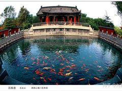 -百脉泉景区