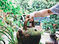 -青城甲(青城山店)