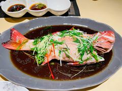 东星斑-余欢领鲜火锅(新街口店)