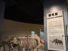 -大庆市博物馆