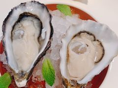 -Oyster Talks 四度蚝法餐厅