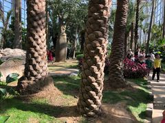 -祥源·阜阳生态乐园