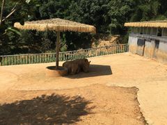 -泉州海丝野生动物世界