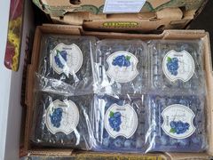 -西郊国际农产品交易中心