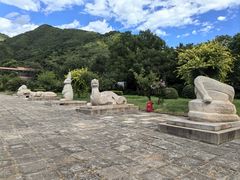 -北京十三陵国家森林公园蟒山景区