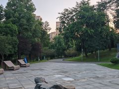 -东岳体育公园
