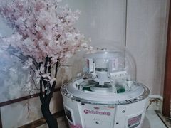-地中海传奇水汇