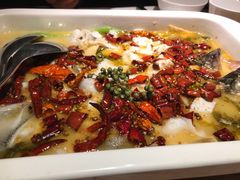 -江湖情酸菜鱼(万菱汇店)