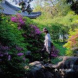 游宁波「景」令人流连忘返富有历史底蕴和人文景观的城市湖泊公园