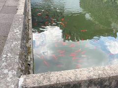 -宁波市保国寺古建筑博物馆