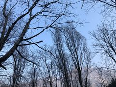 -秦岭终南山世界地质公园翠华山景区