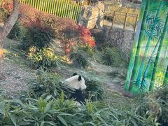 -武汉动物园