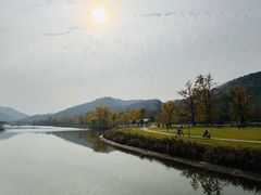 -千年银杏谷文化旅游区