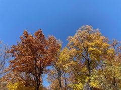 -北京西山国家森林公园