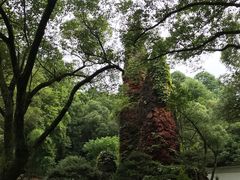 -瑶琳仙境