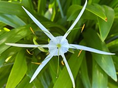 -昆山城市生态森林公园