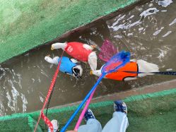 -上美四季动物农场