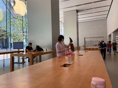 -Apple零售店(华贸购物中心店)