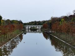 -上海海湾国家森林公园