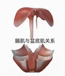 点击看大图 -昕孕瑜伽·孕妇瑜伽·产后修复