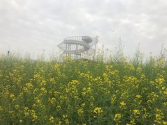 -光明小镇欢乐田园