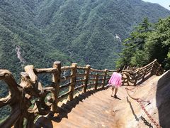 -陕西省红河谷森林公园