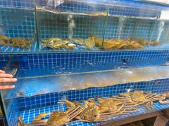 -打酱友•斑鱼海鲜粥火锅(吴桥店)