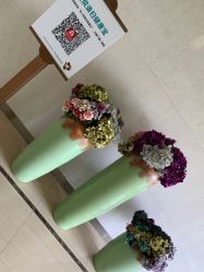 -北京圣宝妇产医院·妇产科·儿科