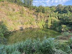 -火炉山森林公园